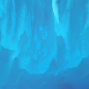 Meet your Posher, Alice